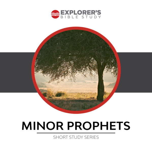 The Minor Prophets